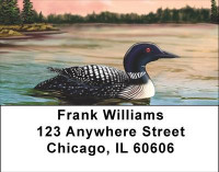 Composure Address Labels | LBANI-99