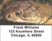 Hissy Fit Address Labels | LBANJ-07