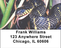 Hissy Fit Address Labels | LBANJ-07