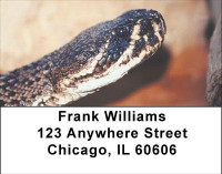 Hissy Fit Address Labels | LBANJ-07
