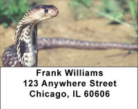 Hissy Fit Address Labels | LBANJ-07