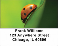 Lovely Ladybugs Address Labels | LBANJ-10