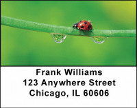 Lovely Ladybugs Address Labels | LBANJ-10