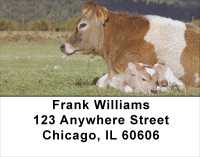 With Baby Calves Address Labels | LBANJ-30