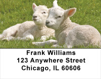 Lambs Address Labels | LBANJ-67