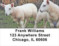 Lambs Address Labels | LBANJ-67