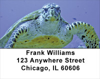 Sea Turtles Address Labels | LBANJ-86