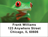 Tree Frogs Again Address Labels | LBANJ-A9