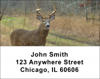 Big Horned Buck Deers Address Labels | LBANK-71