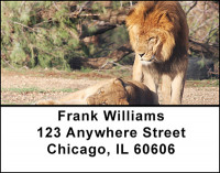 Lions Address Labels | LBBAA-03