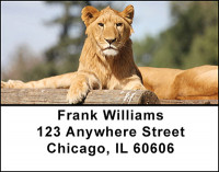 Lions Address Labels | LBBAA-03