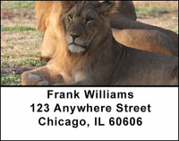 Lions Address Labels | LBBAA-03