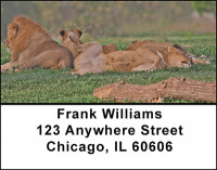 Lions Address Labels | LBBAA-03