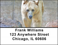 Blonde Bears Address Labels | LBBAA-04
