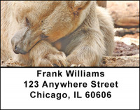 Blonde Bears Address Labels | LBBAA-04