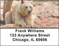 Blonde Bears Address Labels | LBBAA-04