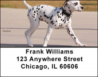 Dalmations Address Labels | LBBAA-13
