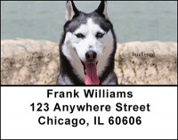 Husky Address Labels | LBBAA-14