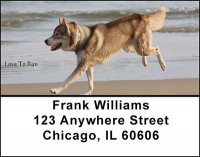 Husky Address Labels | LBBAA-14