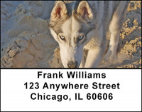 Husky Address Labels | LBBAA-14
