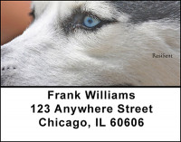Husky Address Labels | LBBAA-14