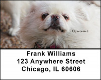 Pekingese Address Labels | LBBAA-16