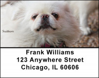Pekingese Address Labels | LBBAA-16