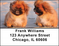 Pekingese Address Labels | LBBAA-16