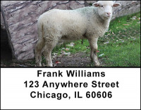 Sheep Address Labels | LBBAA-27