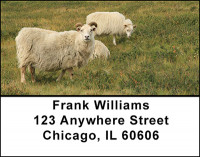 Sheep Address Labels | LBBAA-27