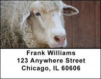 Sheep Address Labels | LBBAA-27