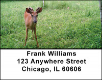 New Growth Address Labels | LBBAA-28