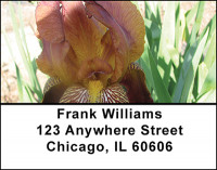 Iris Garden Address Labels | LBBAA-65