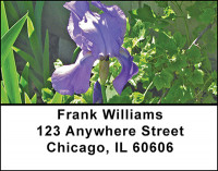 Iris Garden Address Labels | LBBAA-65