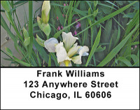 Iris Garden Address Labels | LBBAA-65