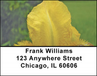 Iris Garden Address Labels | LBBAA-65