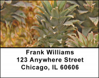 The Pineapple Address Labels | LBBAA-74