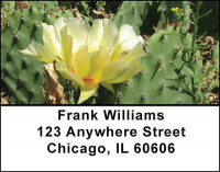 Cactus Blooms Address Labels | LBBAA-82