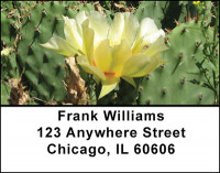 Cactus Blooms Address Labels | LBBAA-82