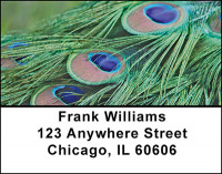 Feathers Of A Peacock Address Labels | LBBAB-18