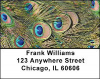 Feathers Of A Peacock Address Labels | LBBAB-18