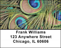 Feathers Of A Peacock Address Labels | LBBAB-18