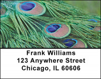Feathers Of A Peacock Address Labels | LBBAB-18