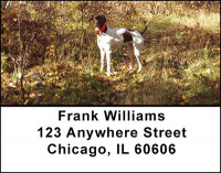 German Short-Haired Pointer Address Labels | LBBAB-30