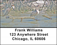 A Pelicans Life Address Labels | LBBAB-37