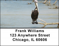 A Pelicans Life Address Labels | LBBAB-37