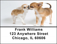Playful Chichuahuas Address Labels | LBBAB-38