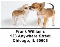 Playful Chichuahuas Address Labels | LBBAB-38