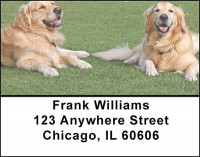 Golden Retrievers Address Labels | LBBAB-39