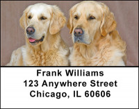 Golden Retrievers Address Labels | LBBAB-39